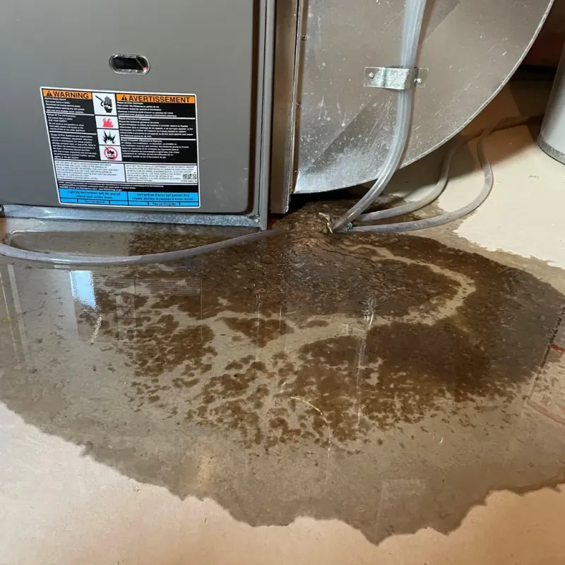 Appliance Leak Cleanup in Pomeroy, WA